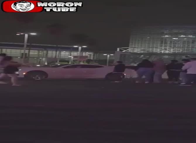 Video :Hit hard by a car, they came out okay! (very okay even)